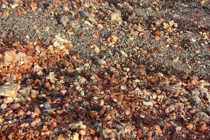 c0204385_0255734.jpg