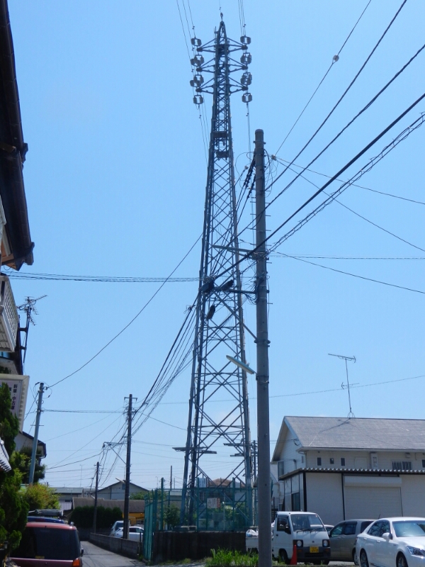 d0224990_14375452.jpg