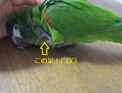 f0234590_10535073.png