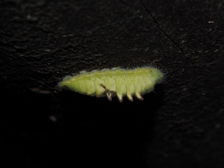 b0194593_1842080.jpg