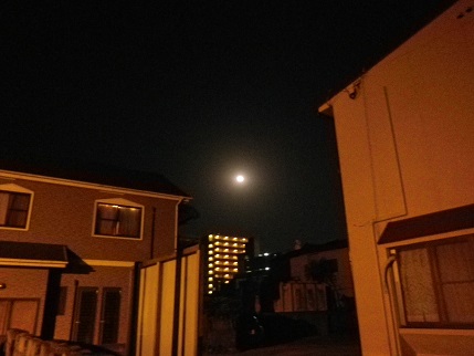 e0048994_8572612.jpg