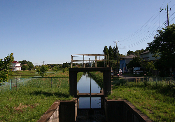d0100095_1014573.jpg