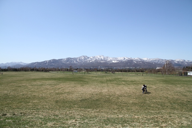 b0204498_154642.jpg