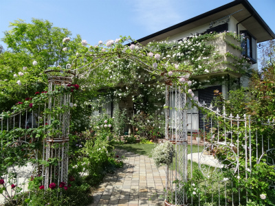c0125501_063324.jpg