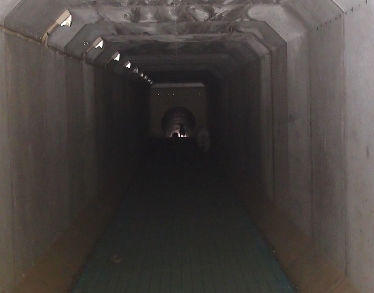 e0018604_07305757.jpg
