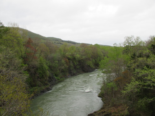 e0242504_22562718.jpg