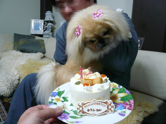 f0301306_1837295.png