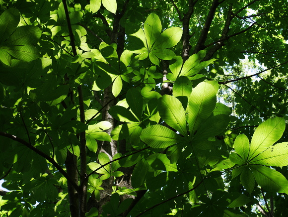 f0302208_12321212.jpg