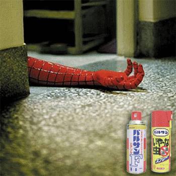 c0050810_636167.gif