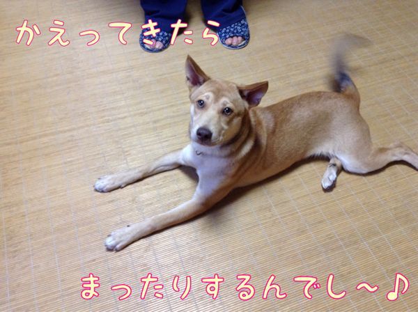 f0329311_21174742.jpg