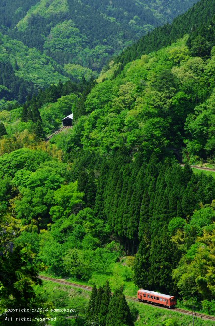 d0309612_17154817.jpg