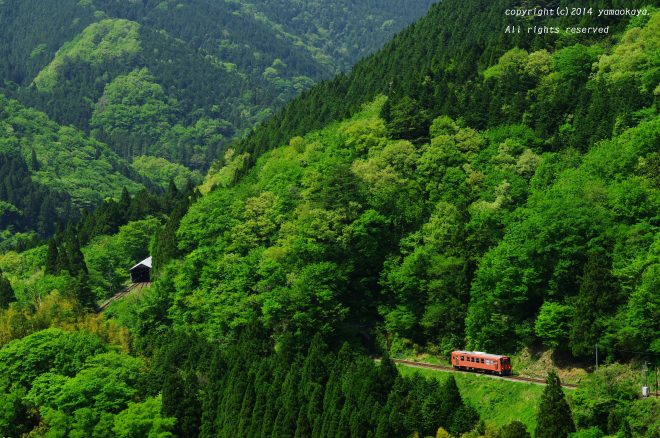 d0309612_18583367.jpg