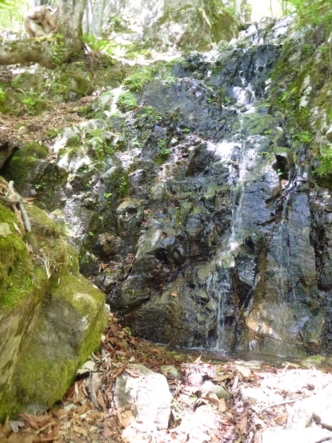d0170615_92744.jpg