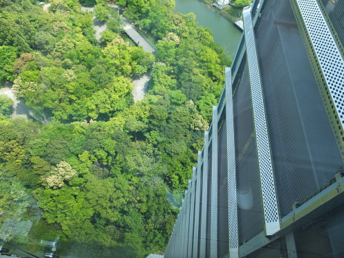 b0311616_08104050.jpg
