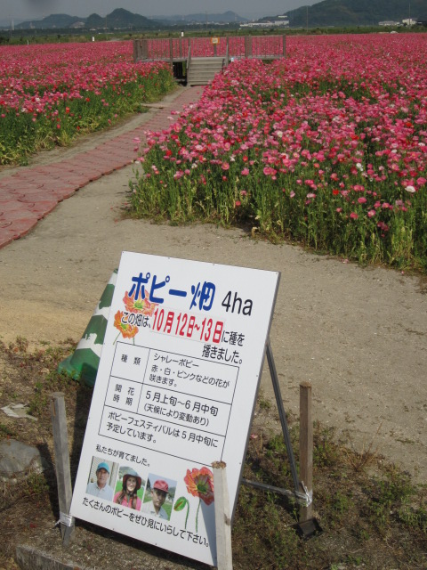 f0319323_0454419.jpg
