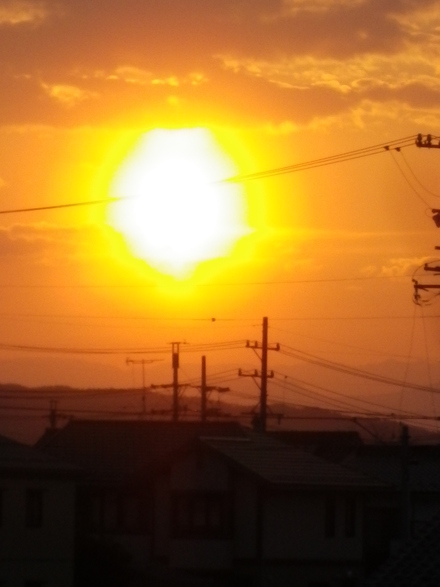 f0188324_831487.jpg