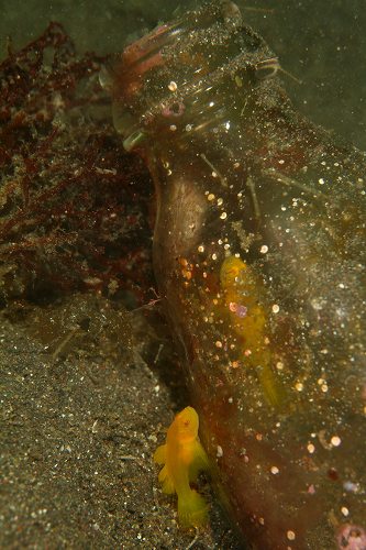 f0206424_1814681.jpg