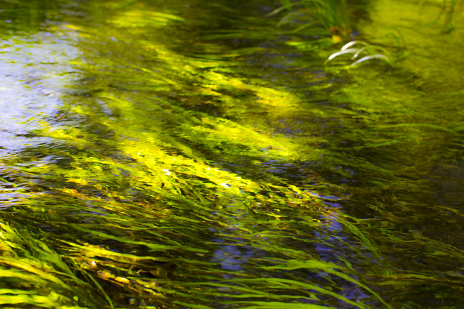 e0200926_23223857.jpg