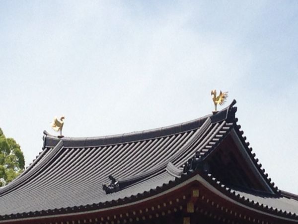 b0004229_16221914.jpg