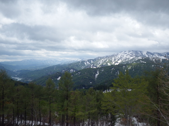 f0118332_233105.jpg