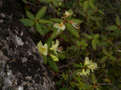 e0272335_10363261.jpg