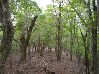 e0272335_10495834.jpg