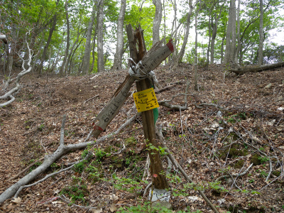 e0272335_1195549.jpg