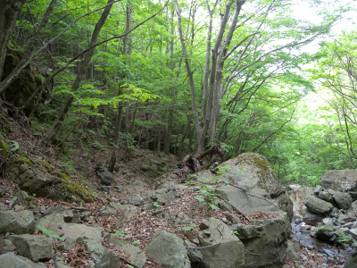 e0272335_1246195.jpg