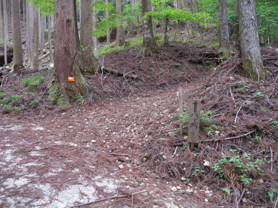 e0272335_12515176.jpg
