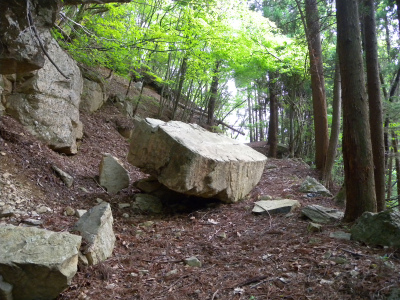 e0272335_5461260.jpg