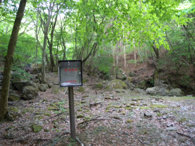 e0272335_5462591.jpg