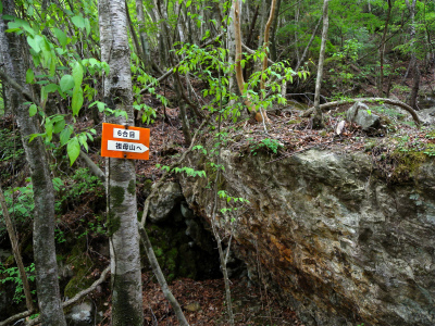e0272335_5475254.jpg