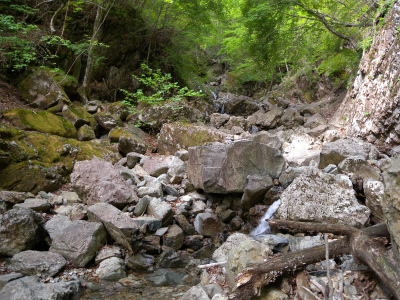 e0272335_5481531.jpg