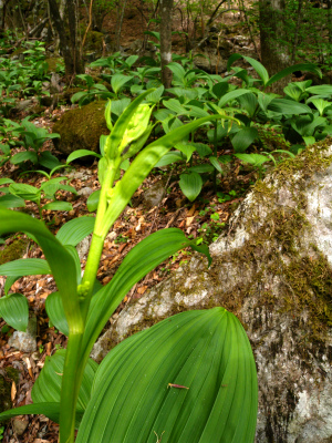 e0272335_5493631.jpg