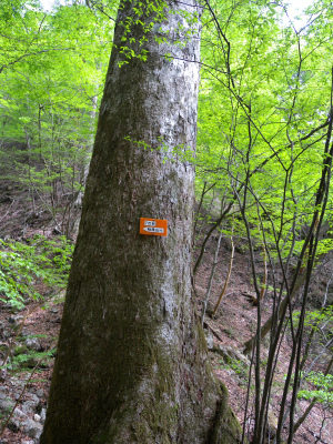 e0272335_549789.jpg