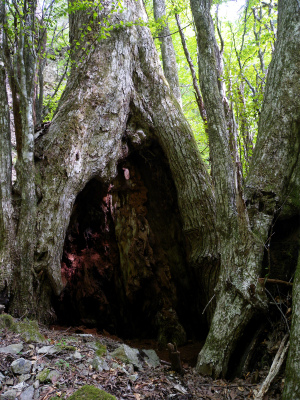 e0272335_550104.jpg