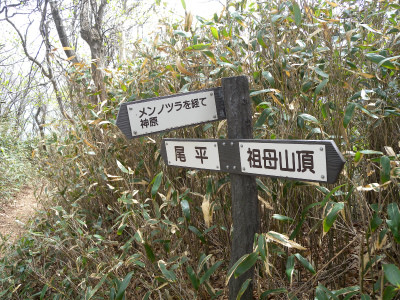 e0272335_9504421.jpg