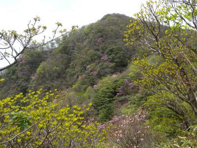 e0272335_9522985.jpg