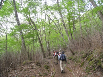 c0077338_6383051.jpg
