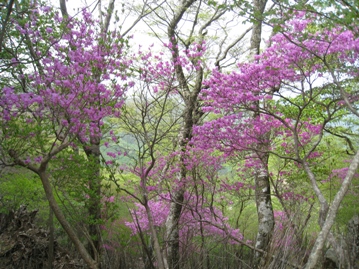 c0077338_6385180.jpg