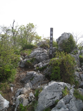 c0077338_6391832.jpg