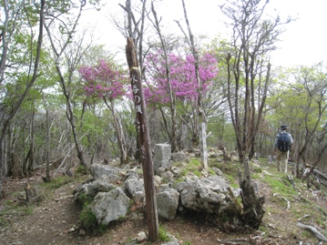 c0077338_639449.jpg