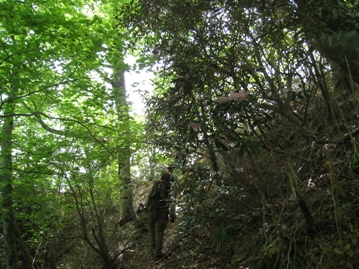 c0077338_6394960.jpg