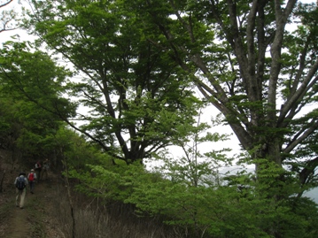 c0077338_6401256.jpg