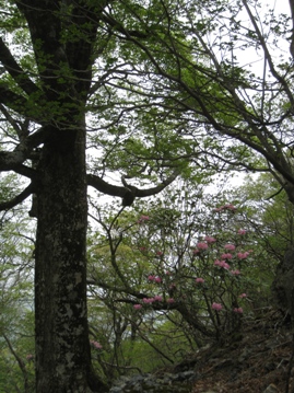 c0077338_640366.jpg