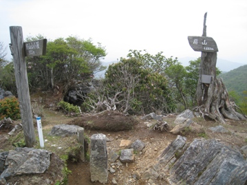 c0077338_6405419.jpg