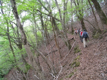 c0077338_640923.jpg