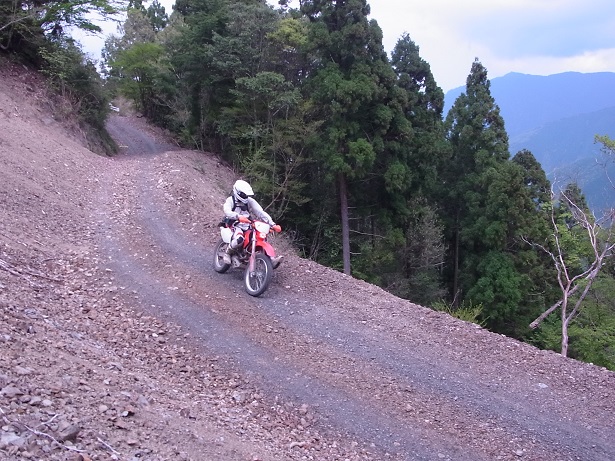 a0143839_16322598.jpg