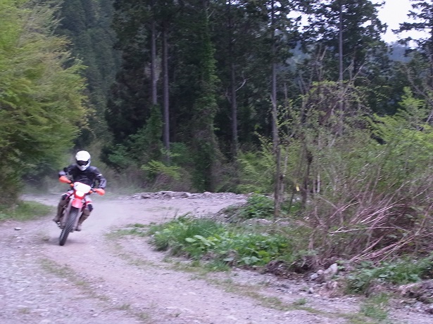 a0143839_1783967.jpg