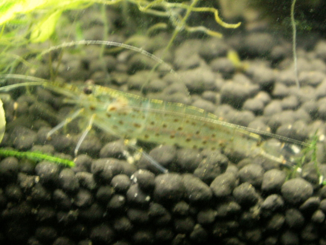 b0139239_040162.jpg